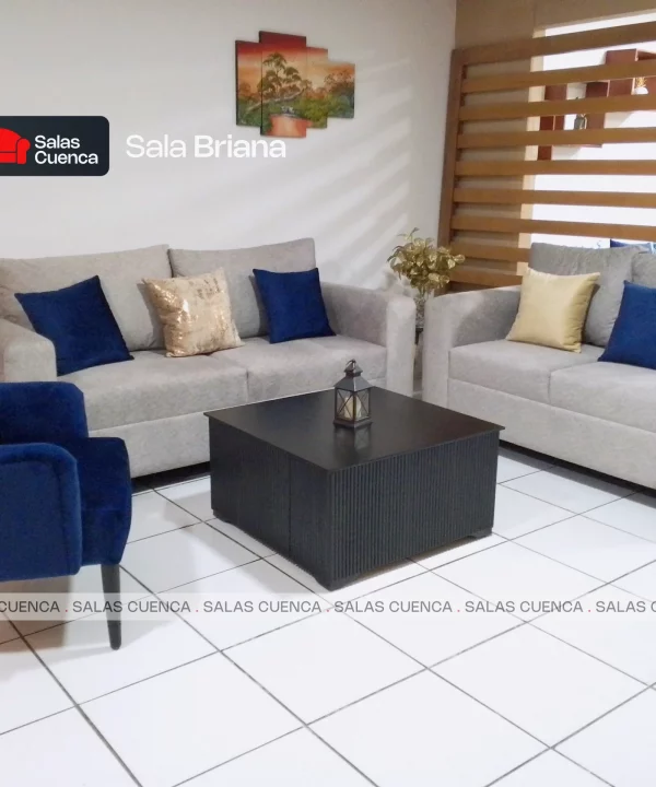 SALA BRIANA PLATA + AZUL MARINO