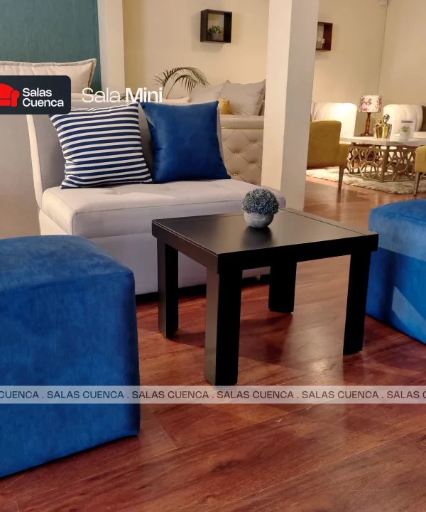 SALA MINI PLATA + AZUL MARINO