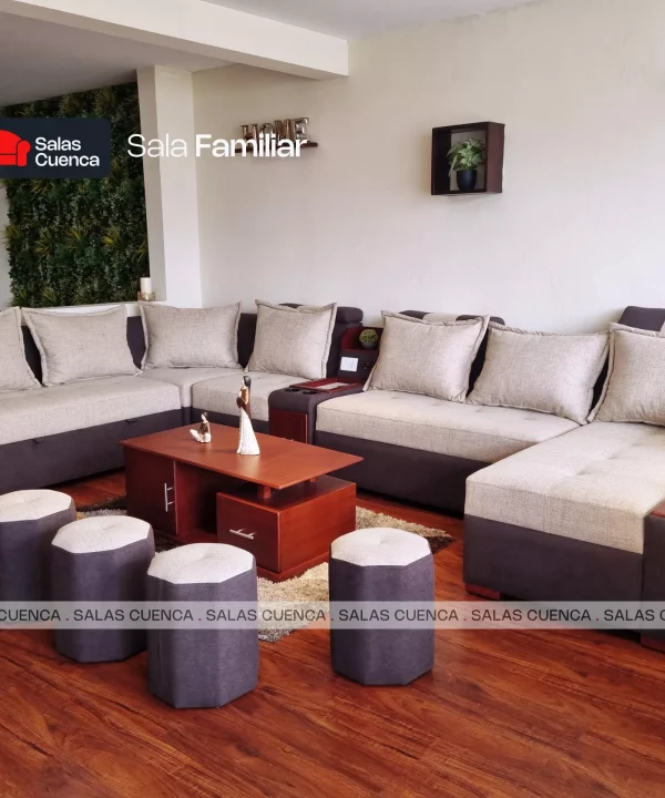 SALA FAMILIAR BEIGE + CHOCOLATE