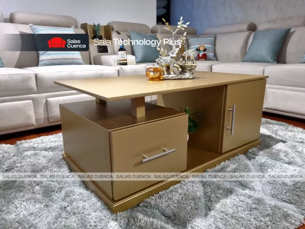 Sala Technology Plus