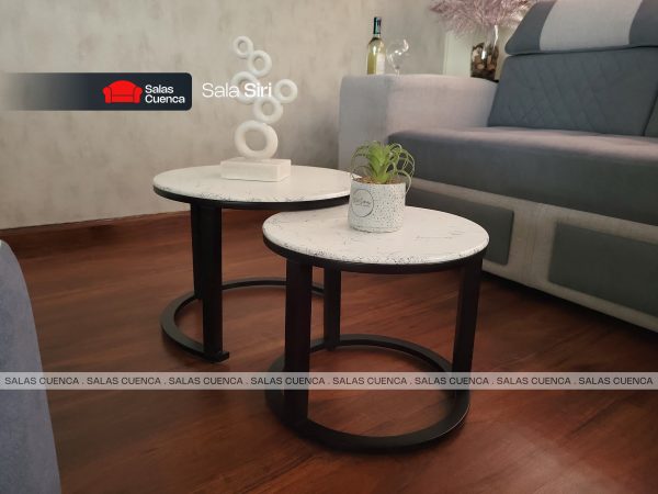 SALA SIRI GRIS + BEIGE 3 Sala Siri